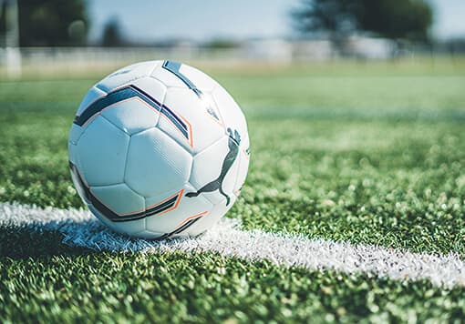 SPORTS INDUSTRY